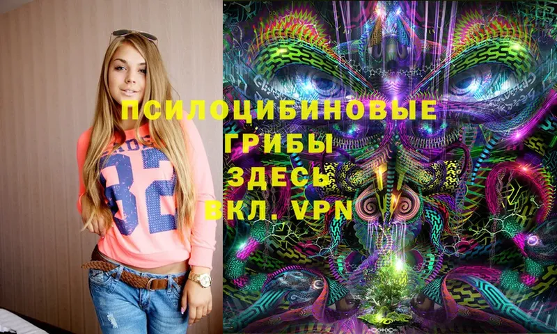 ссылка на мегу tor  Мариинск  Галлюциногенные грибы MAGIC MUSHROOMS  наркотики 